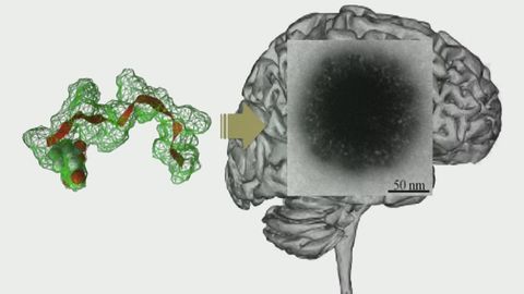 Bypassing the Blood-Brain-Barrier: Delivering Drugs to the Brain