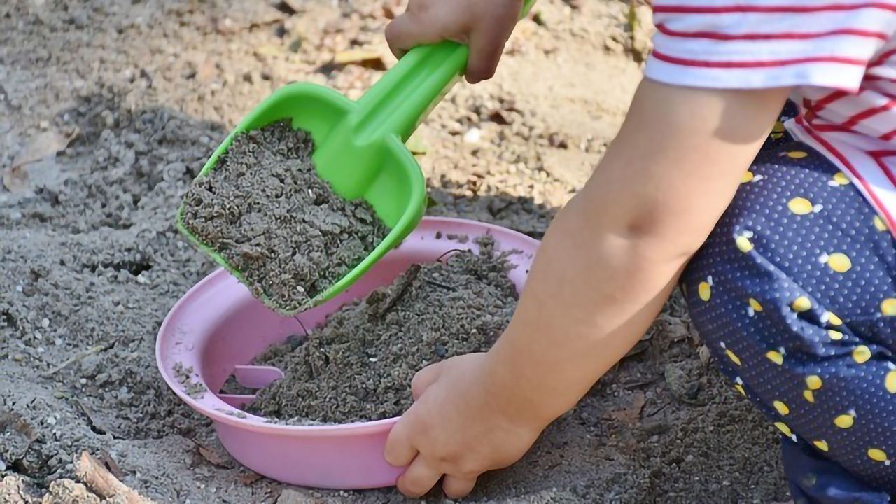 Topsoil Key Lead Exposure Risk for Children