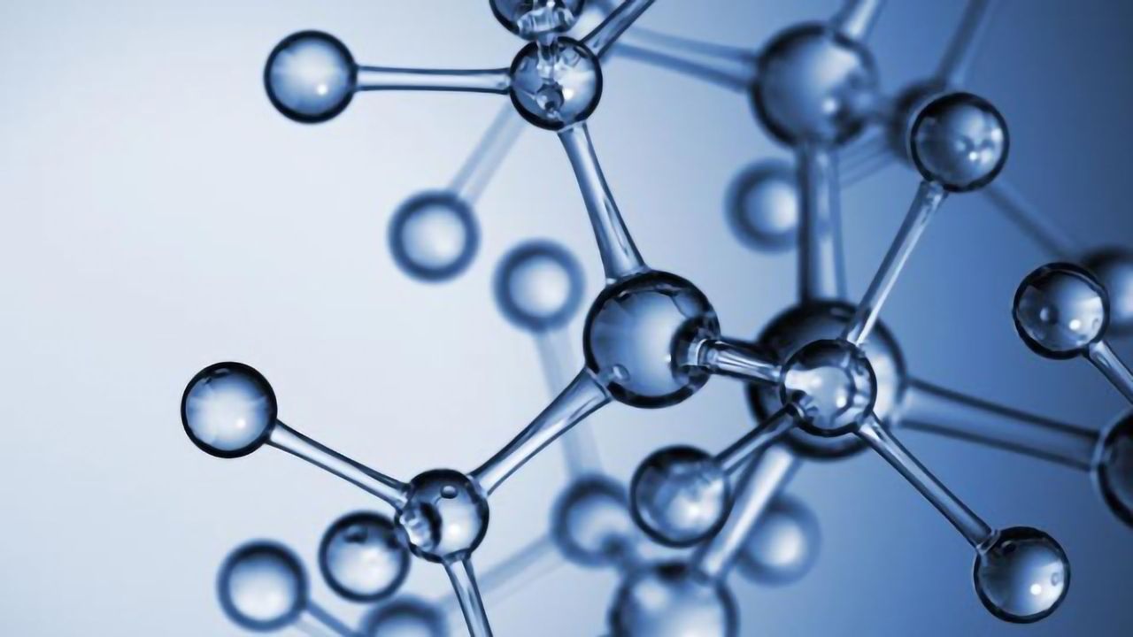 Fungus Chemistry May Mimic Opioids With Fewer Side Effects