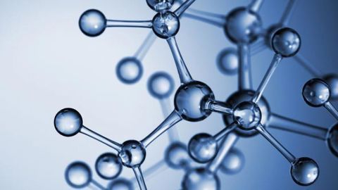 Fungus Chemistry May Mimic Opioids With Fewer Side Effects