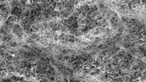 How To Tame Your Microbes