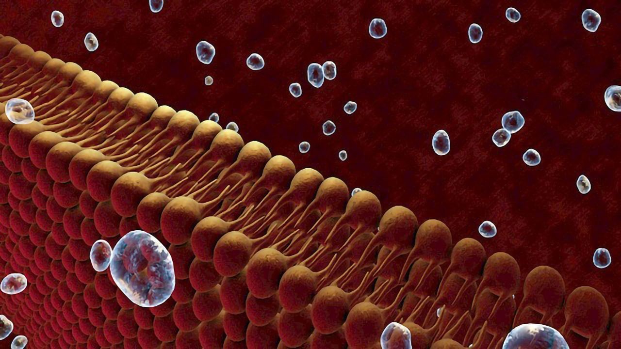 承诺和障碍Lipidomics研究