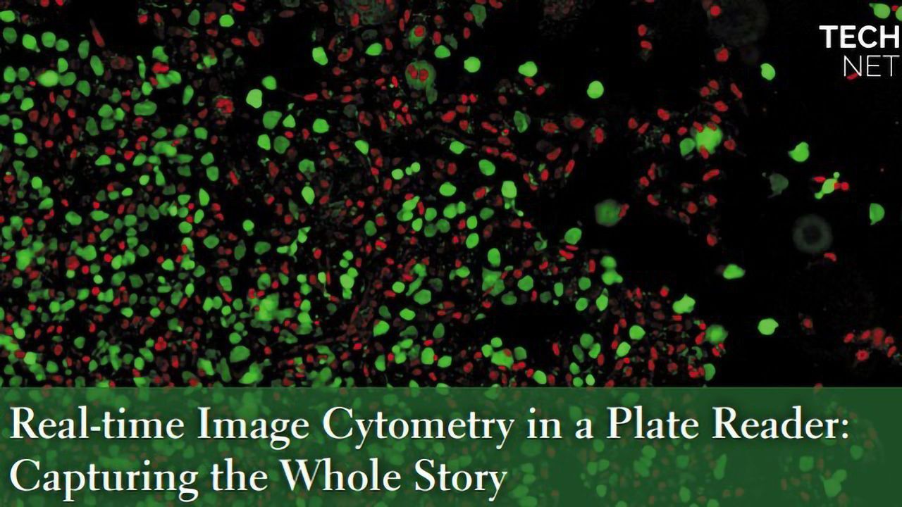Real-time Image Cytometry in a Plate Reader: Capturing the Whole Story