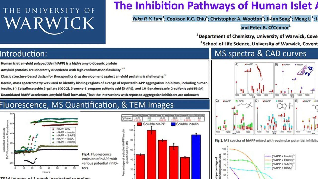 The Inhibition Pathways of Human Islet Amyloid Polypeptide