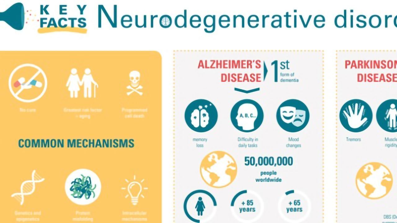 Neurodegenerative Diseases and Neuroinflammation Pathways