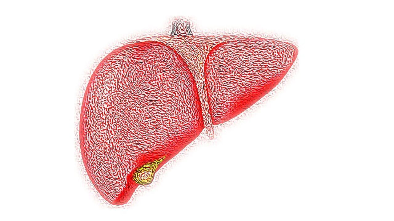 Cell Family Trees Tracked To Discover Their Role in Liver Disease