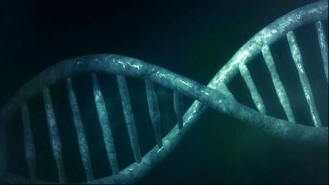 DNA Fracturing Causes Rewiring of Genes in Cancer