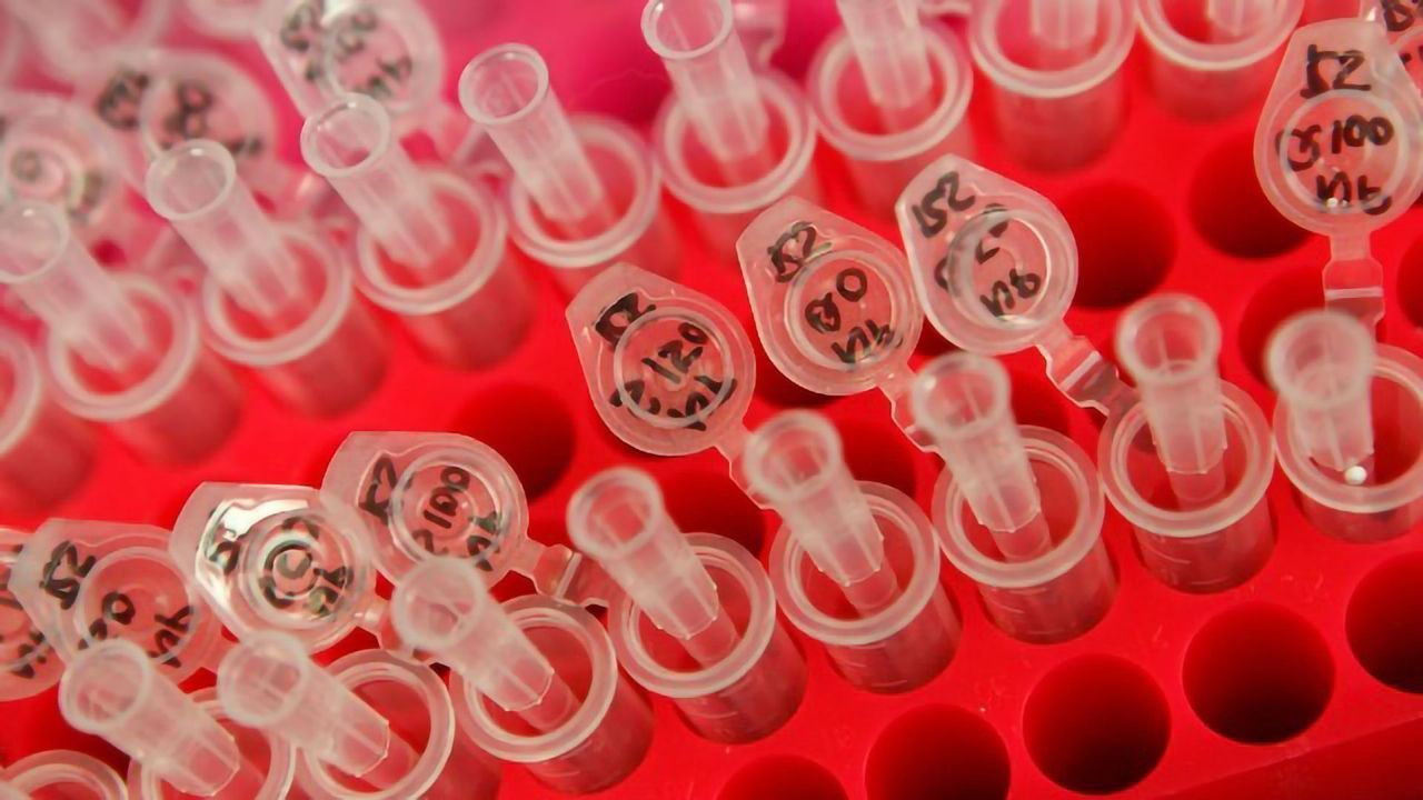 Study Finds Commercially Available Antibodies Are Not Binding Their Target