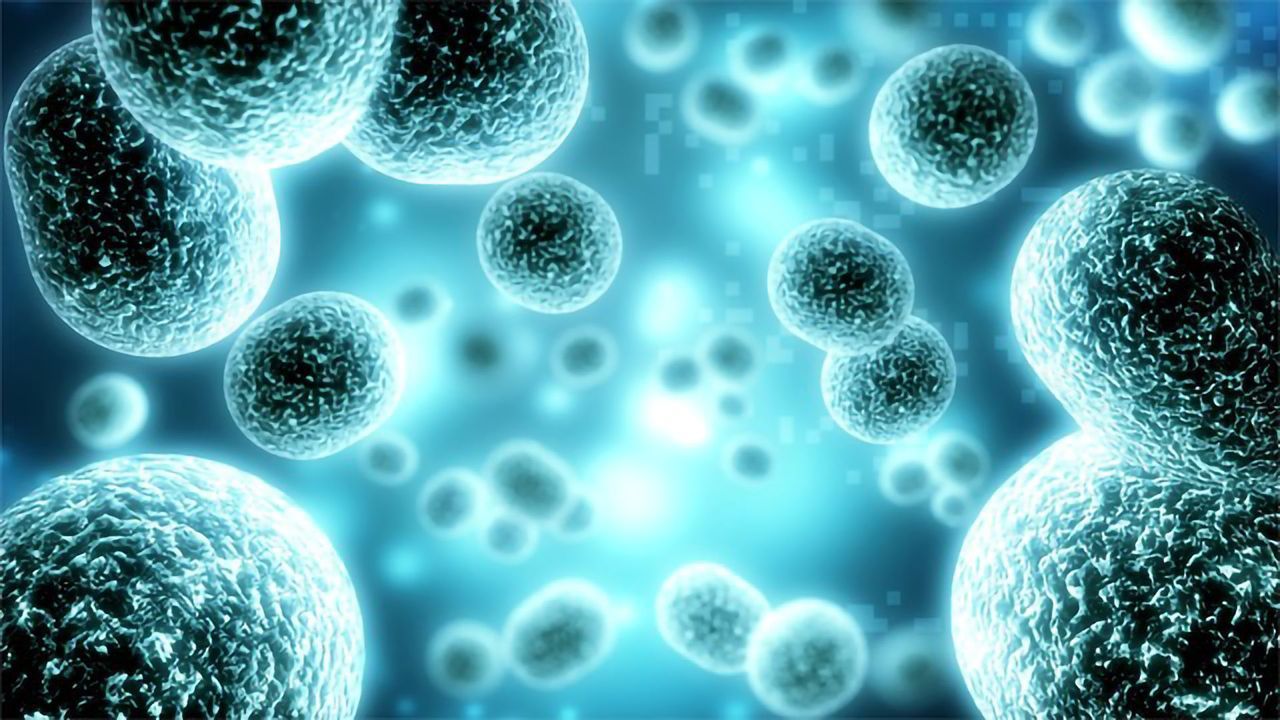 Improving Reporter Gene Assays