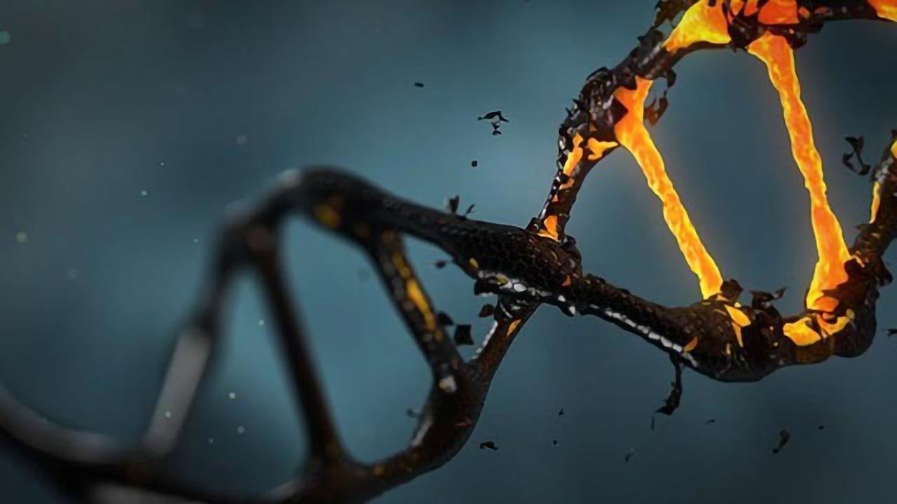 Harmful Gene Interactions Trigger Rare Form of GI Tumor