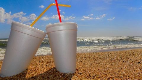 Polystyrene Lasts Decades, Not Millennia