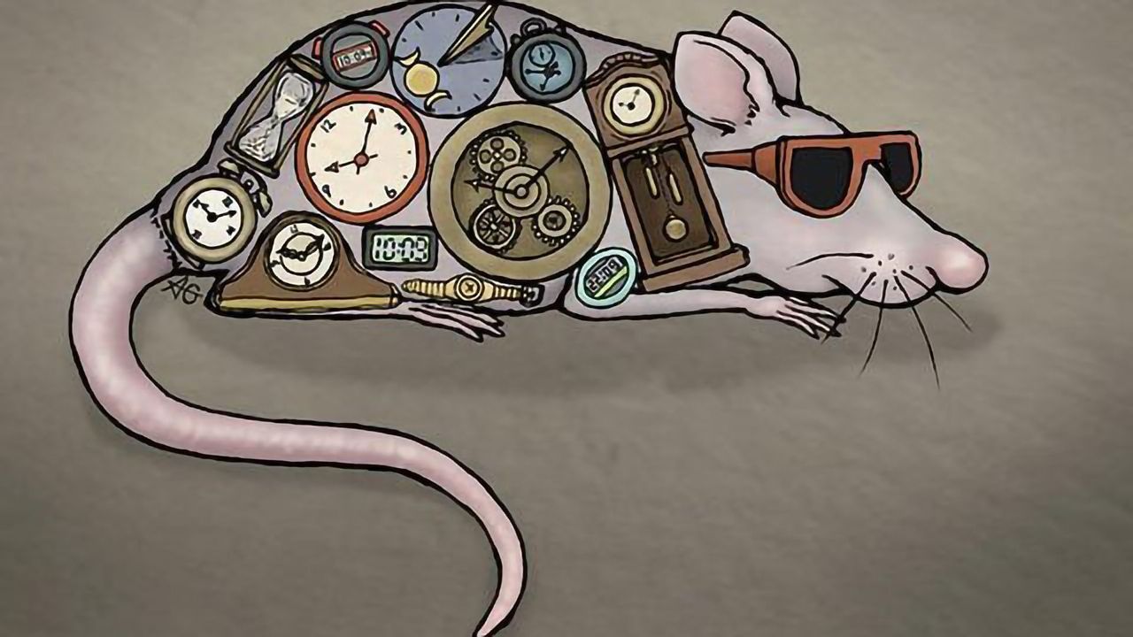 Opsin Study Shows Circadian Clocks Aren't Just Decided by the Brain
