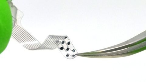 The Next Generation of Hearing Implants Could Be Soft