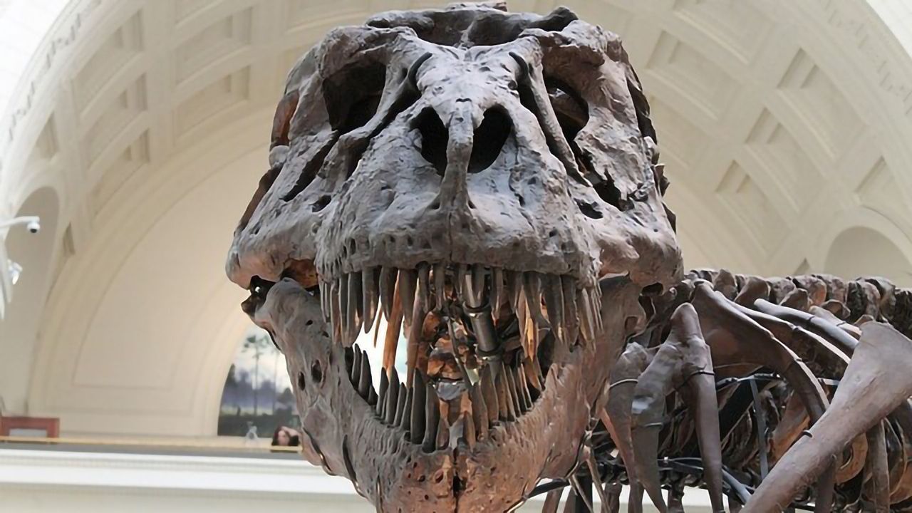 How Hot-headed Dinosaurs Solved the Problem