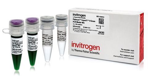 Invitrogen Platinum™ SuperFi™ II DNA Polymerase