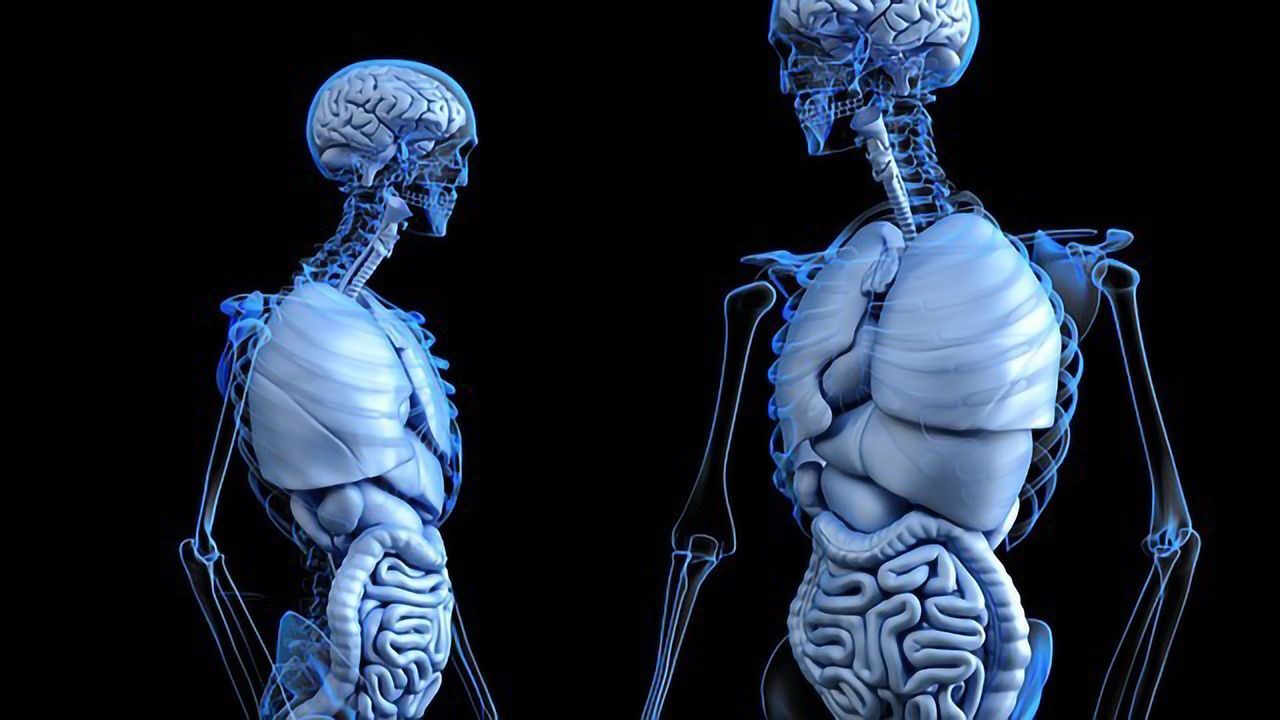 Bioactive Agents Improve Synthetic Bone Substitutes