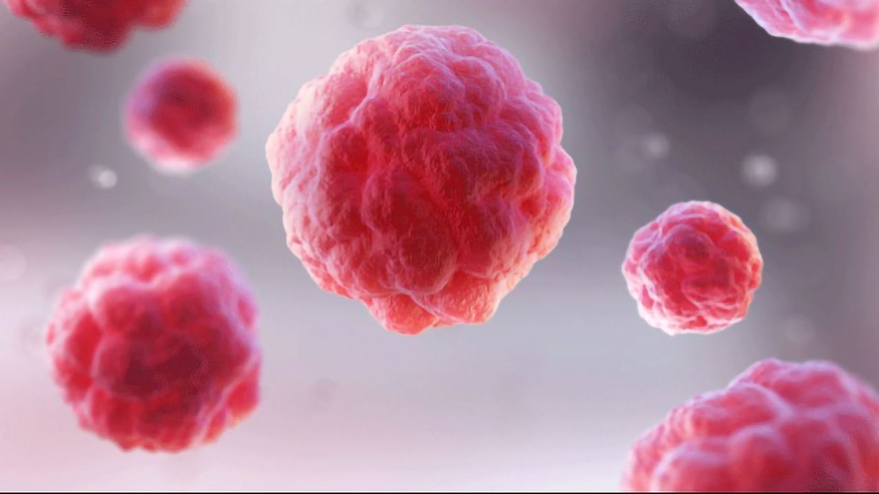Creatine Fuels T Cells’ Fight Against Cancer