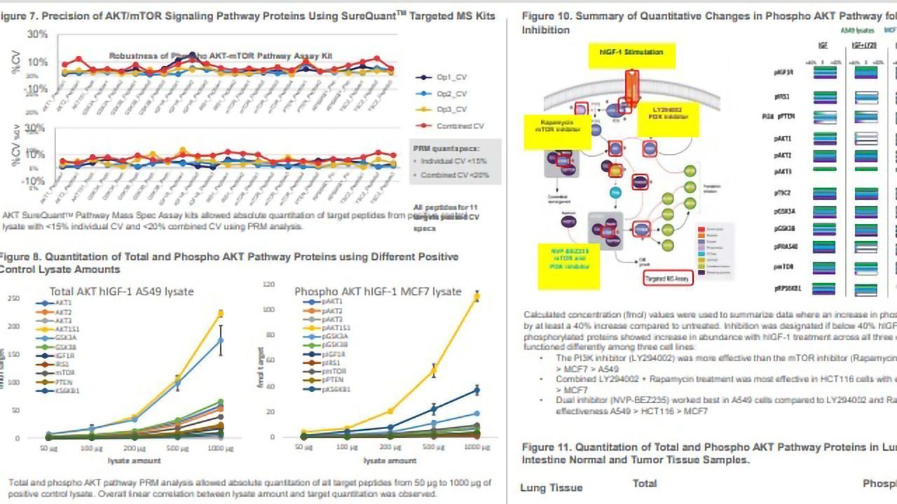 Applications of Mass Spectrometry Targeted Assays for Quantitative Analysis of Cancer Signaling Proteins