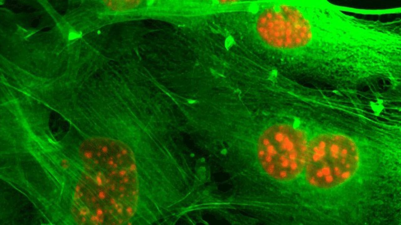 International Alliance Aims To Detect the (Almost) Undetectable