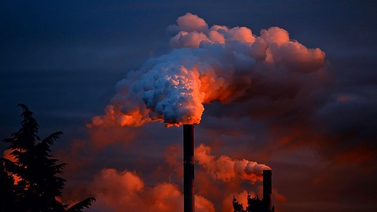 Elevated Nitrogen Emissions Linked to Kidney Damage