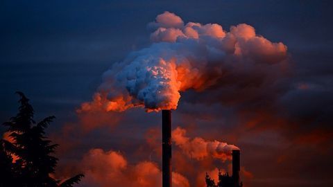 Elevated Nitrogen Emissions Linked to Kidney Damage
