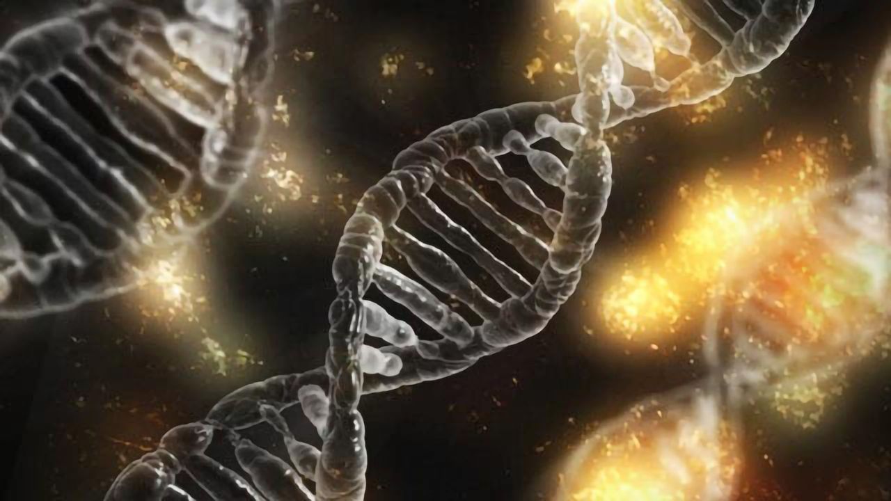 Triple-negative Breast Cancer Influenced by Dual Action of Genes and RNA