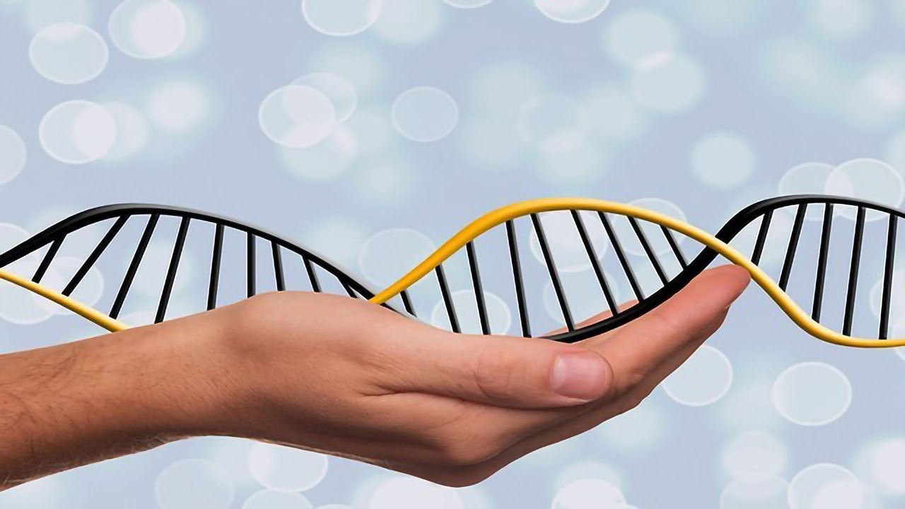 New CRISPR Editing System a "Genetic Word Processor"