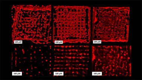 Bioprinting: Creating Living Cells in a 3D Printer