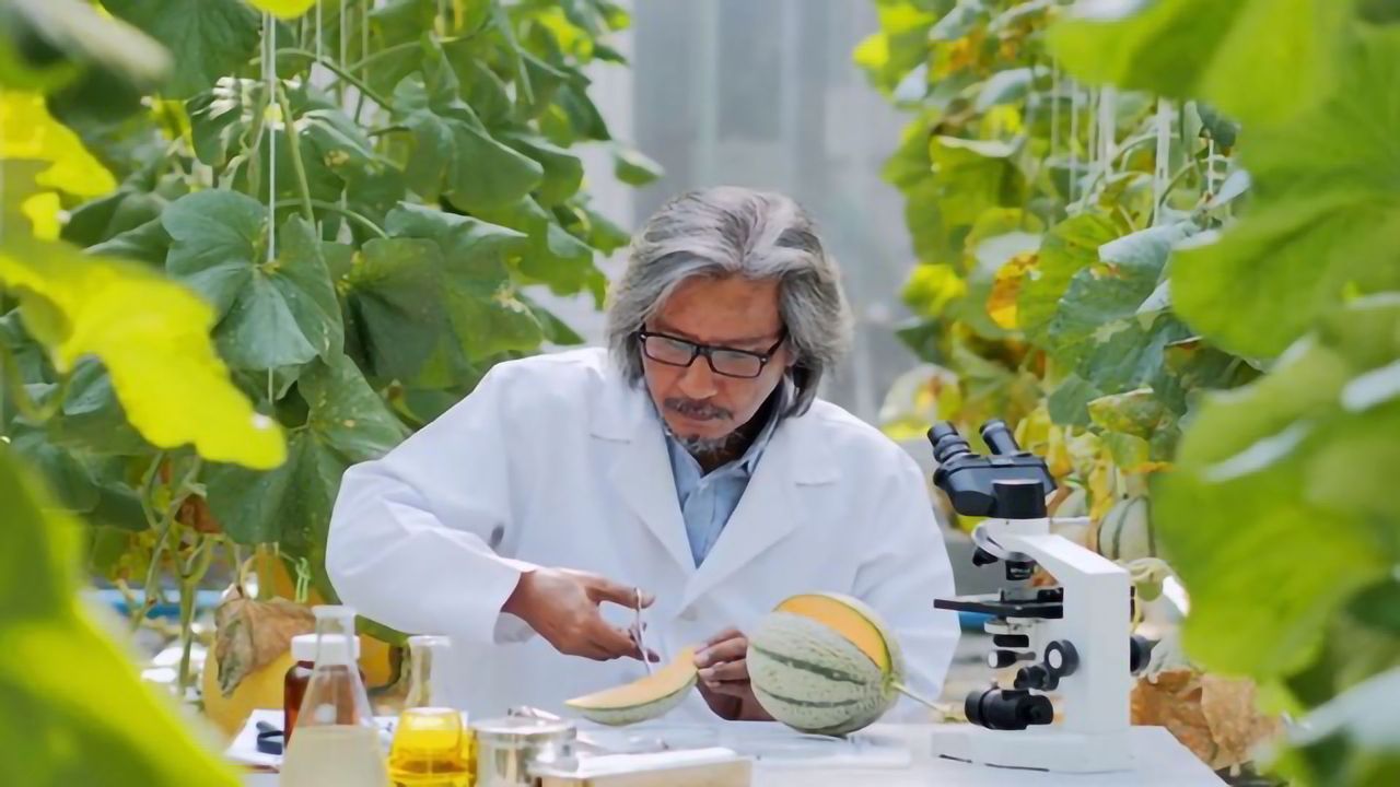 Food Facts - CRISPR
