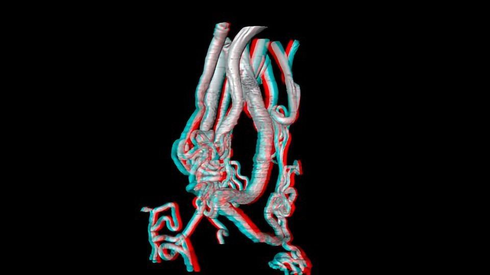 Harnessing the Power of Immunology to Heal Ourselves content piece image