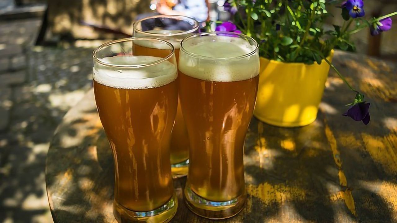A Closer Look at Brewer’s Yeasts Reveals the Diversity Harnessed by Humans