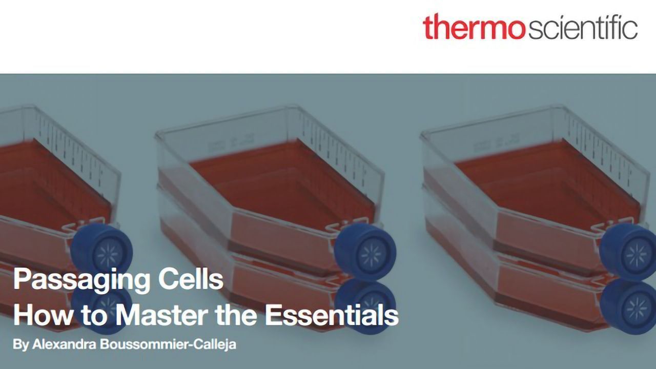 Passaging Cells: How To Master the Essentials