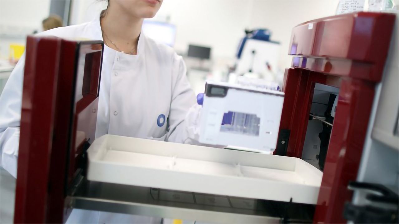 Robust Adeno-associated Virus Purification System for Gene Therapy Development