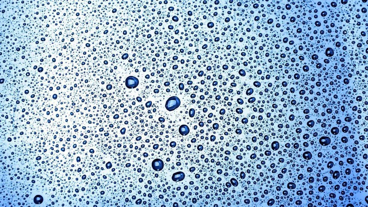 New Organelle Found That Helps Prevent Cancer