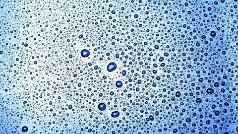 New Organelle Found That Helps Prevent Cancer