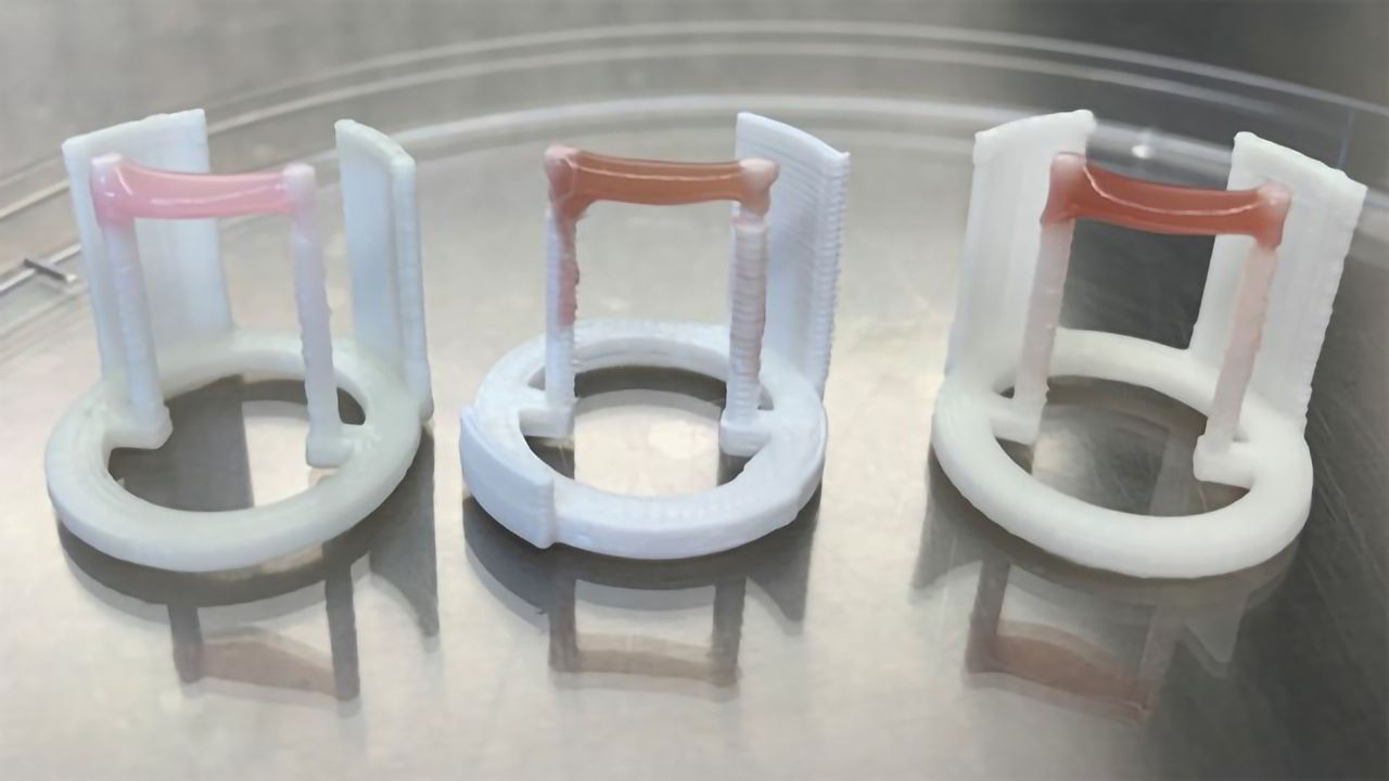 Researchers Enhance Color and Texture of Cultured Meat