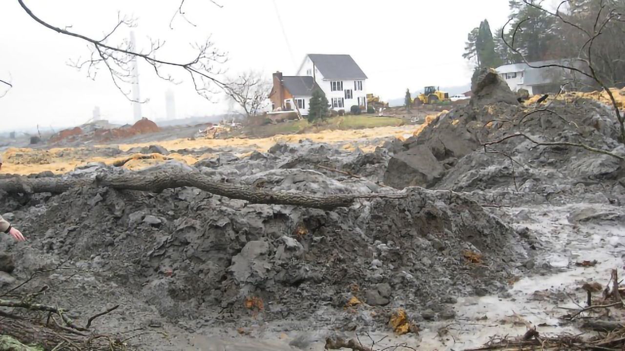Lead Isotopes Used To Track Harmful Exposure to Coal Ash