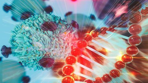 Epigenetic Drug Screens Could Unlock New Treatments for Cancer, Heart Disease and Mental Illness