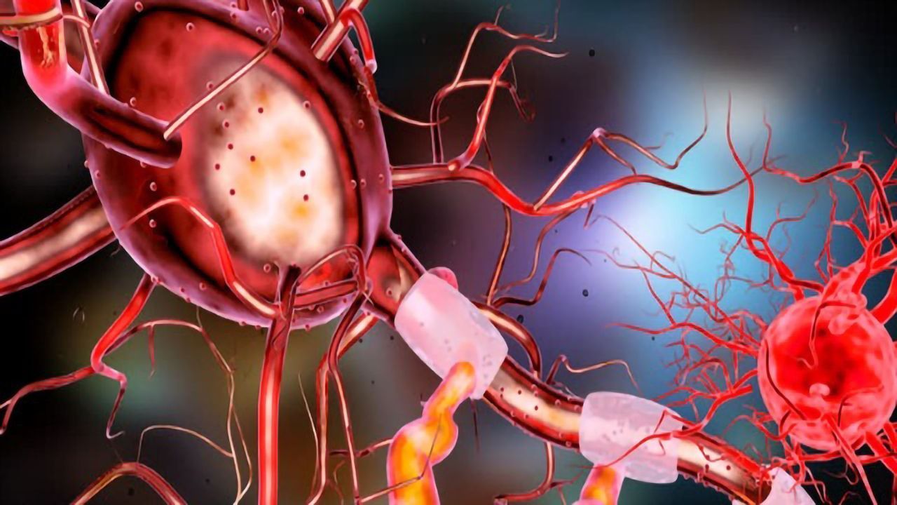 New Fundamental Insights into How Memory Change with Age has Been Revealed