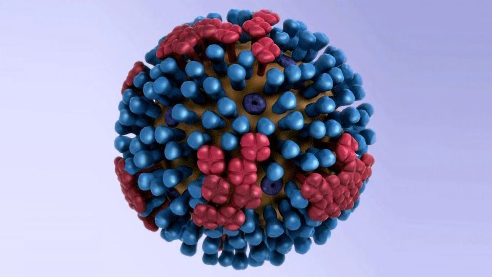 Drug Induces Mutations in Genetic Material of the Influenza Virus content piece image