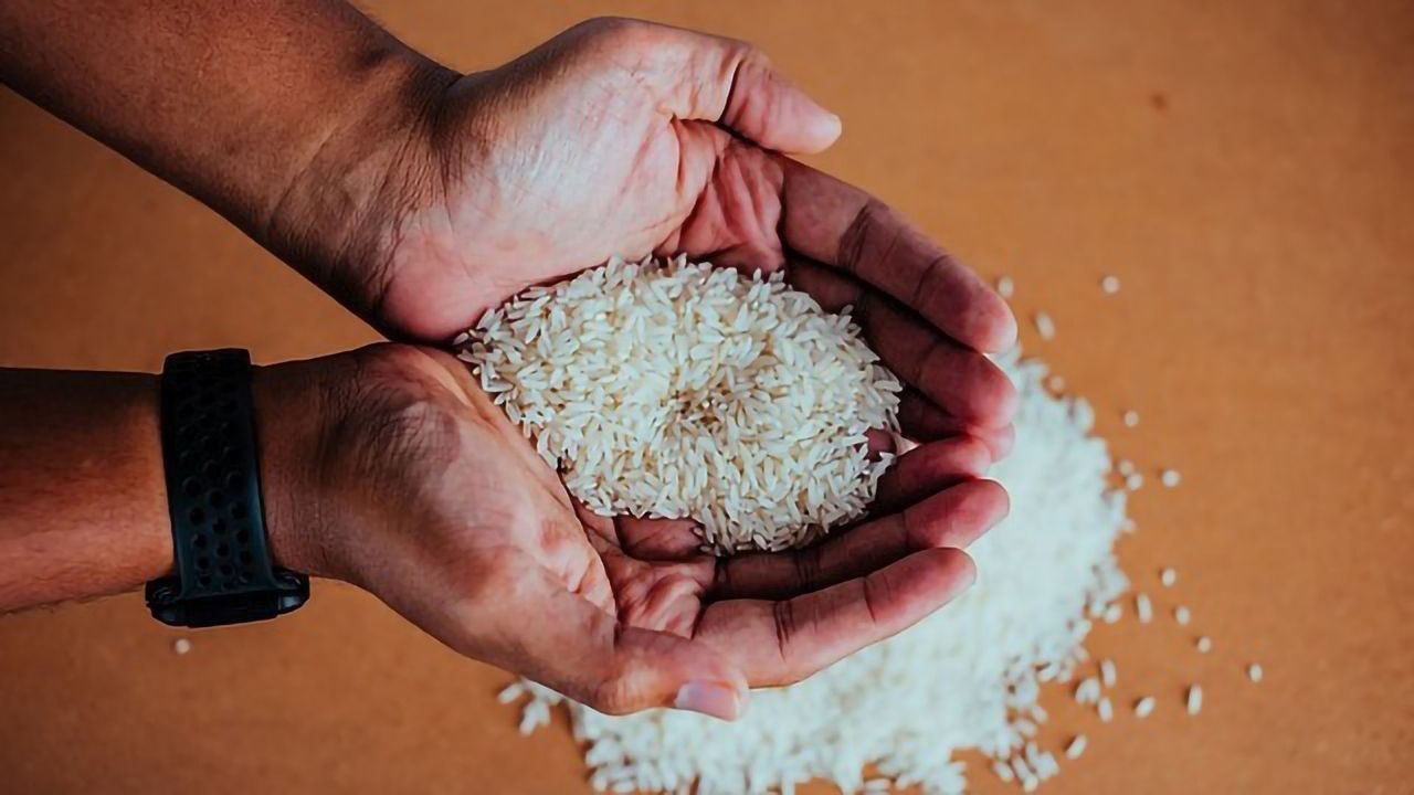 New Paddy Rice Analysis Technology Unites Image and Pressure Testing