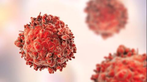 Adjusting the Immune System’s Brakes To Tackle Cancer