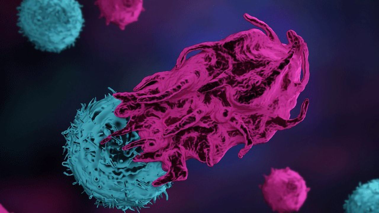 New Cell Therapy Approach Boosts Immune Response of T Cells to Malignant Tumors
