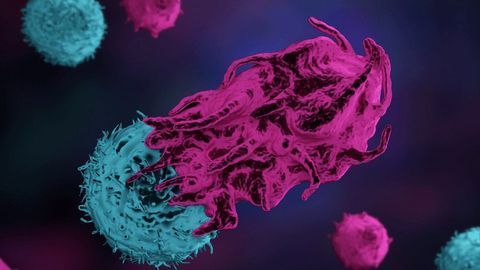 New Cell Therapy Approach Boosts Immune Response of T Cells to Malignant Tumors
