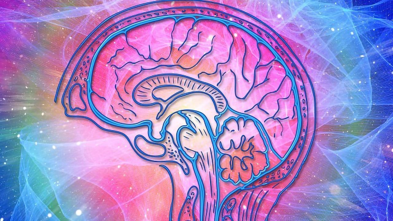 Schizophrenia Risk Gene Linked to Cognitive Deficits in Mice