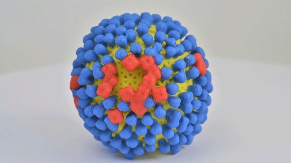 Antibody Discovery Could Lead to Better Influenza Treatments and Vaccines content piece image