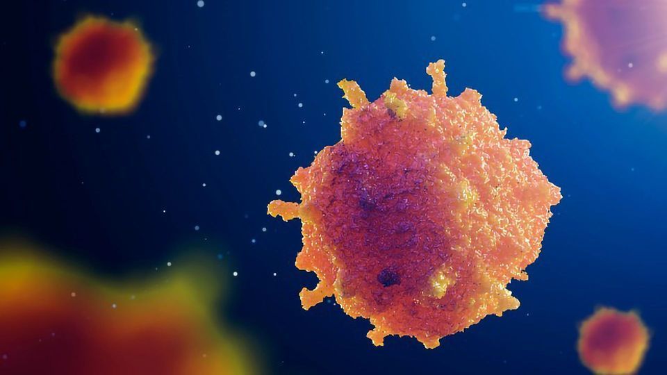 Cancer Cells Communicate – But What If We Could Interrupt Them? content piece image