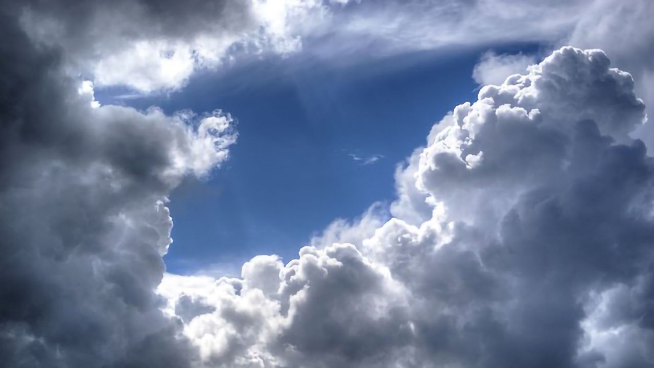 Doubt Cast on Carbon Capture Strategies