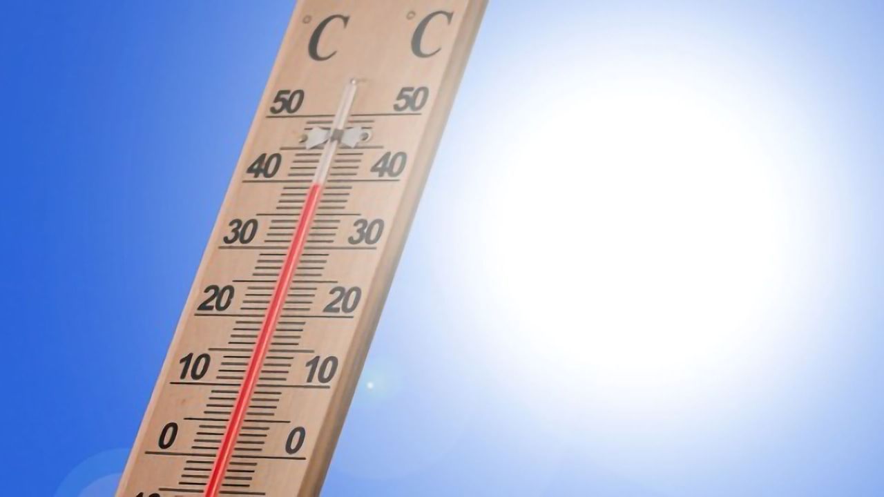 Climate Mysteries Investigated With Forensic Information Theory Tool