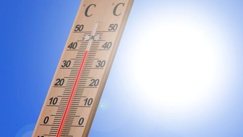 Climate Mysteries Investigated With Forensic Information Theory Tool
